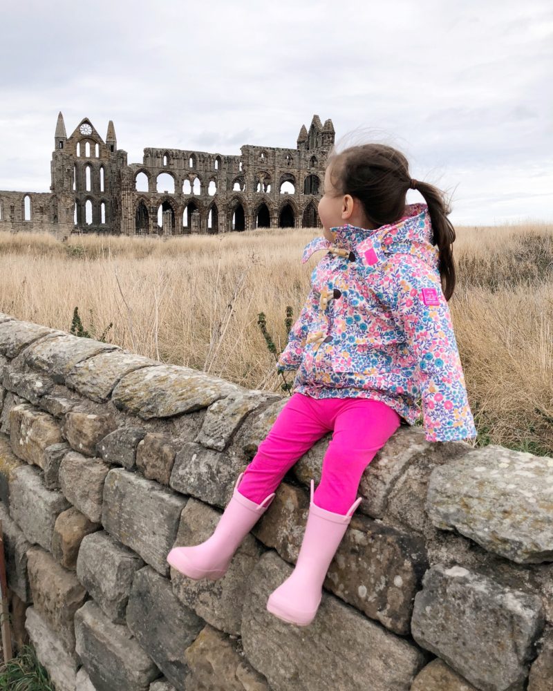 whitby abbey draculas castle