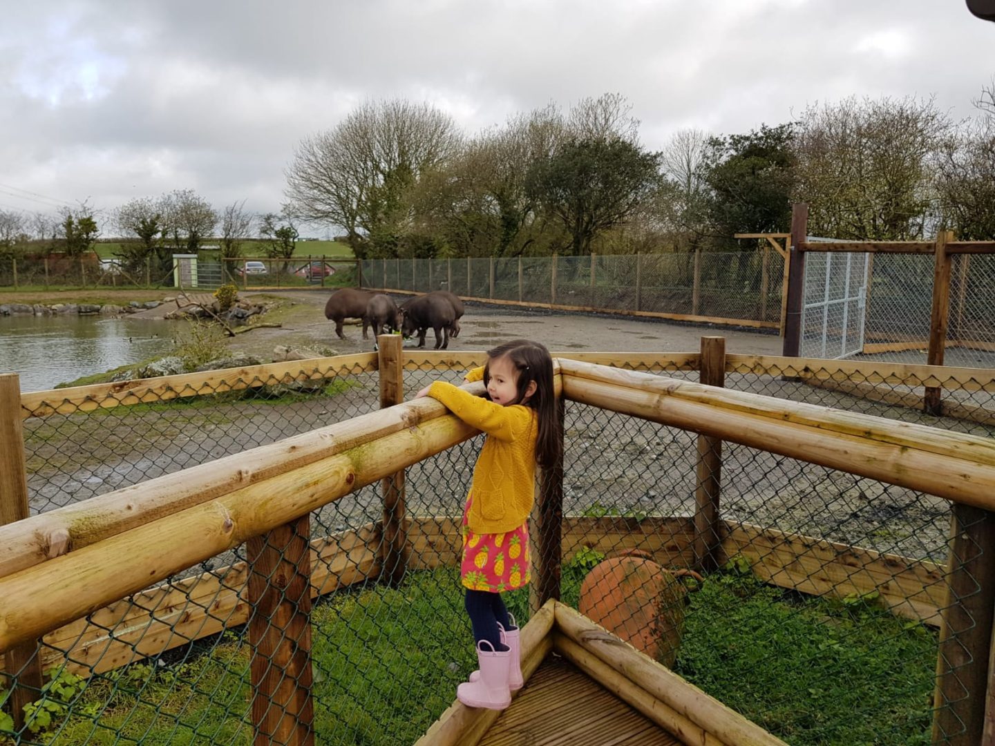 folly farm wales 